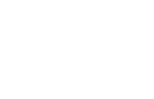 LearnAction